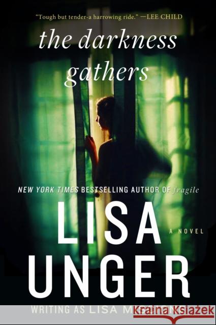 The Darkness Gathers Lisa Unger 9780307953117