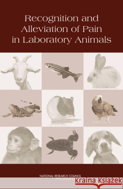 Recognition and Alleviation of Pain in Laboratory Animals Research Council National Cameron Fletcher Lida Anestidou 9780309128346 National Academies Press