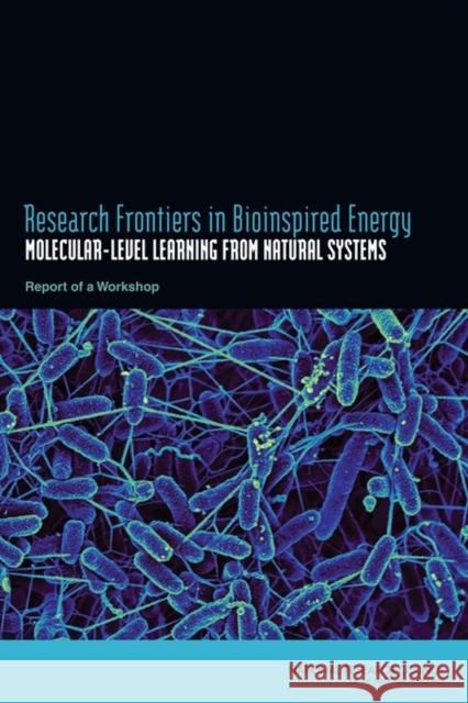 Research Frontiers in Bioinspired Energy : Molecular-Level Learning from Natural Systems: Report of a Workshop Committee on Research Frontiers in Bioinspired Energy 9780309220446 National Academies Press