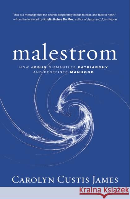 Malestrom: How Jesus Dismantles Patriarchy and Redefines Manhood Carolyn Custis James 9780310138891 Zondervan