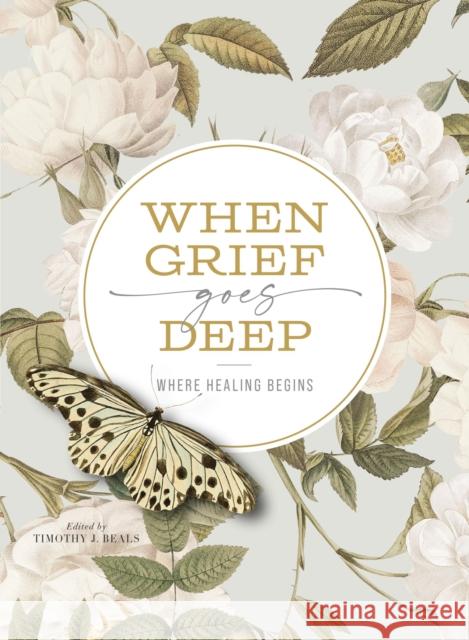 When Grief Goes Deep: Where Healing Begins Timothy Beals 9780310158059
