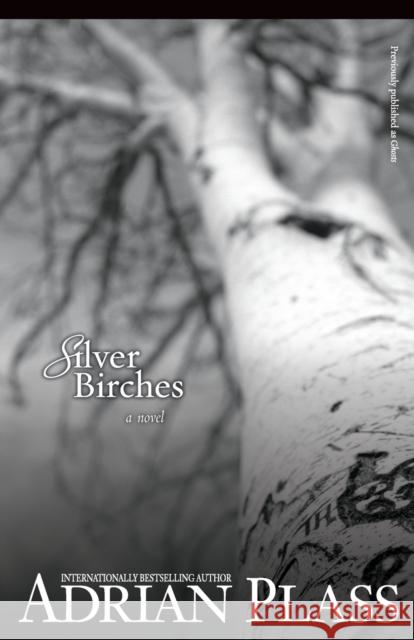 Silver Birches Adrian Plass 9780310292036 Zondervan