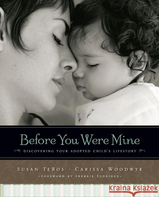 Before You Were Mine: Discovering Your Adopted Child's Lifestory Tebos, Susan 9780310331032 Zondervan