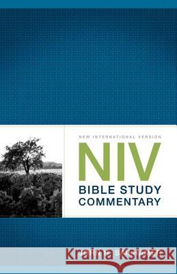 NIV Bible Study Commentary John Sailhamer 9780310331193 Zondervan