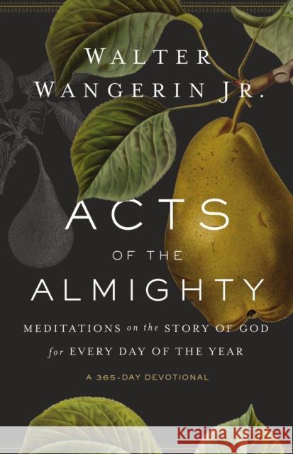 Acts of the Almighty: Meditations on the Story of God for Every Day of the Year Walter Wangeri 9780310356882 Zondervan