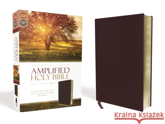 Amplified Bible-Am: Captures the Full Meaning Behind the Original Greek and Hebrew Zondervan 9780310443940 Zondervan