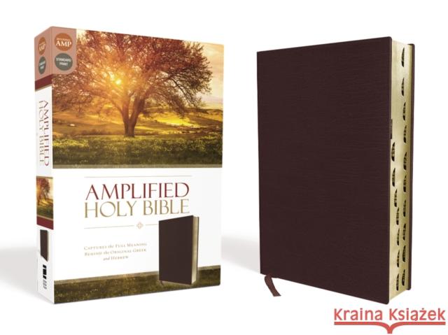 Amplified-Am: Captures the Full Meaning Behind the Original Greek and Hebrew  9780310443957 