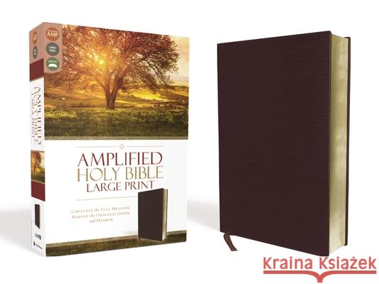 Amplified Holy Bible, Large Print, Bonded Leather, Burgundy: Captures the Full Meaning Behind the Original Greek and Hebrew  9780310444053 Zondervan