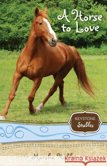A Horse to Love: 1 Hubler, Marsha 9780310717928 Zonderkidz