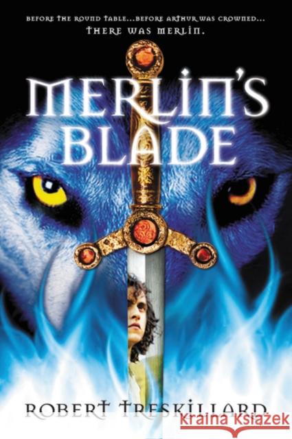 Merlin's Blade Robert Treskillard 9780310735076 0