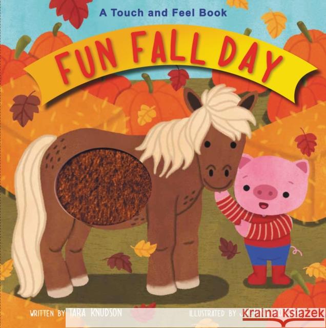 Fun Fall Day: A Touch and Feel Board Book Tara Knudson Juliana Motzko 9780310770213 Zonderkidz