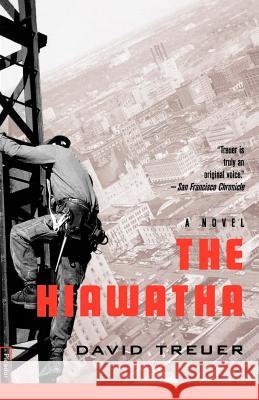 The Hiawatha David Treuer 9780312252724 Picador USA