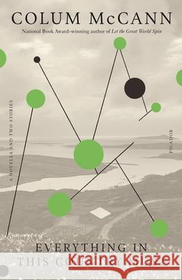 Everything in This Country Must Colum McCann 9780312273187 Picador USA