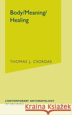 Body, Meaning, Healing Thomas J. Csordas 9780312293918