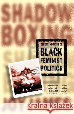 Shadowboxing: Representations of Black Feminist Politics James, Joy 9780312294496 0