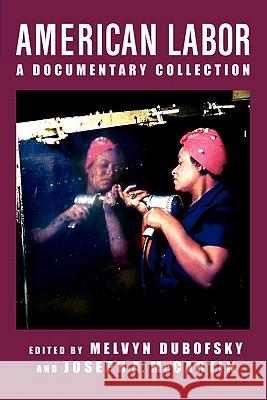 American Labor: A Documentary History Dubofsky, Melvyn 9780312295646 Palgrave MacMillan