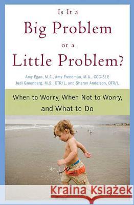 Is It a Big Problem or a Little Problem? Amy Egan Amy Freedman Judi Greenberg 9780312354121 St. Martin's Griffin