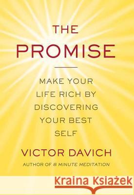 The Promise: Make Your Life Rich by Discovering Your Best Self Victor Davich 9780312378158 St. Martin's Griffin