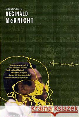 He Sleeps Reginald McKnight 9780312421045 Picador USA