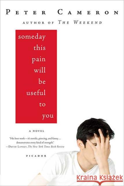 Someday This Pain Will Be Useful to You Cameron, Peter 9780312428167