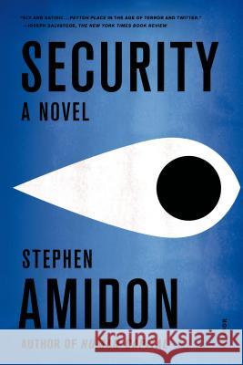 Security Stephen Amidon 9780312429317 Picador USA