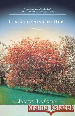 It's Beginning to Hurt James Lasdun 9780312429867 Picador USA