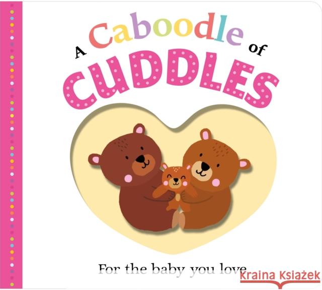 A Caboodle of Cuddles Roger Priddy 9780312527624 Priddy Books