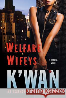 Welfare Wifeys: A Hood Rat Novel K'wan 9780312536978 Saint Martin's Griffin,U.S.