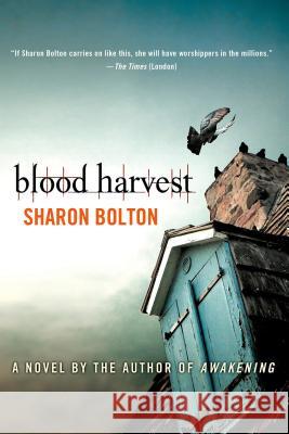 Blood Harvest S. J. Bolton 9780312573553 Minotaur Books