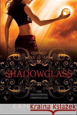 Shadowglass Erica Hayes 9780312578015 St. Martin's Griffin