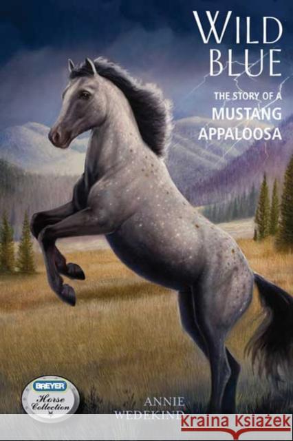 Wild Blue: The Story of a Mustang Appaloosa Amy Wedekind 9780312599171 Feiwel & Friends