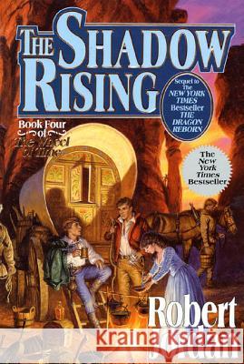 The Shadow Rising: Book Four of 'the Wheel of Time' Robert Jordan 9780312854317 