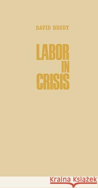 Labor in Crisis: The Steel Strike of 1919 Brody, David 9780313234996 Greenwood Press