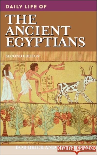 Daily Life of the Ancient Egyptians Brier, Bob 9780313353062 Greenwood Press