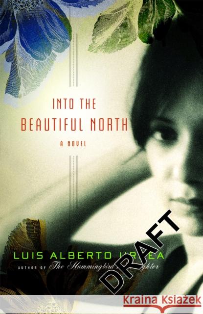 Into the Beautiful North Luis Alberto Urrea 9780316025270 Little Brown and Company