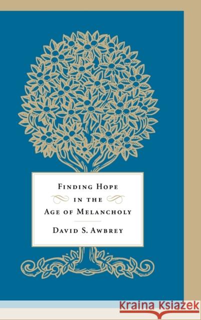 Finding Hope in the Age of Melancholy David S. Awbrey 9780316038119 