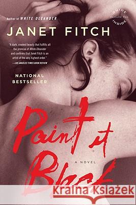 Paint It Black Janet Fitch 9780316067140 Back Bay Books