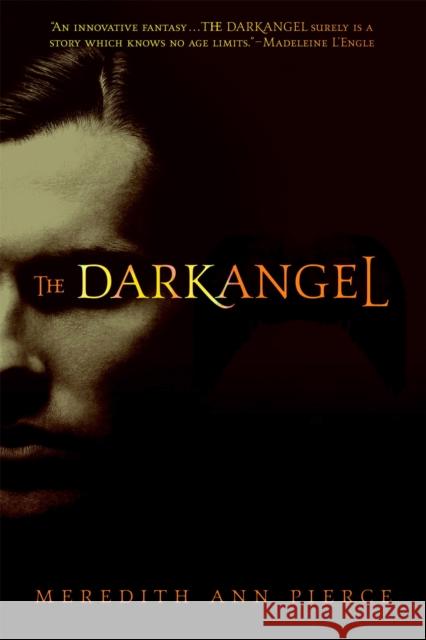 The Darkangel Meredith Pierce 9780316067232