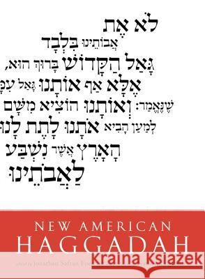 New American Haggadah Jonathan Safran Foer Nathan Englander 9780316069878