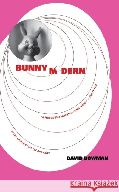 Bunny Modern David Bowman Lewis Hurxthal Susan Bonners 9780316102025