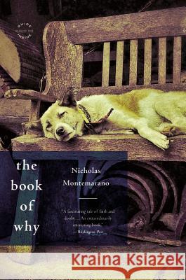 The Book of Why Nicholas Montemarano 9780316188463 Little Brown and Company