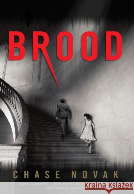 Brood Chase Novak 9780316228008 Mulholland Books