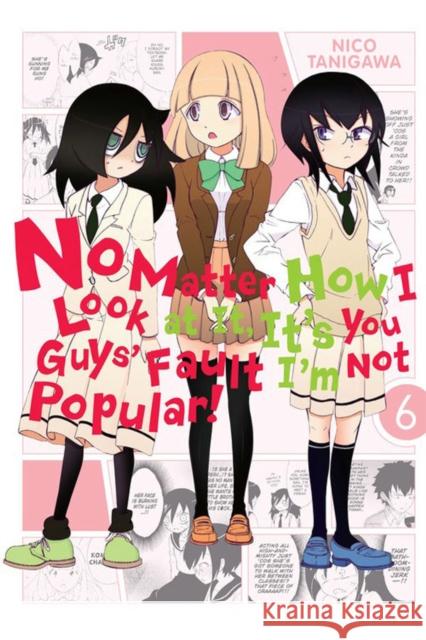 No Matter How I Look at it, It's You Guys' Fault I'm Not Popular!, Vol. 6 Nico Tanigawa 9780316259415