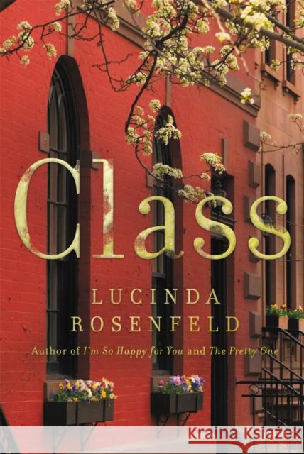 Class Lucinda Rosenfeld 9780316265430 Back Bay Books