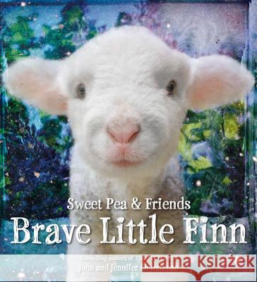 Brave Little Finn Jennifer Churchman John Churchman 9780316273596 Little, Brown Books for Young Readers