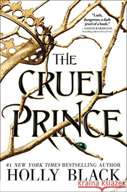 The Cruel Prince Holly Black 9780316310314 Little, Brown Books for Young Readers
