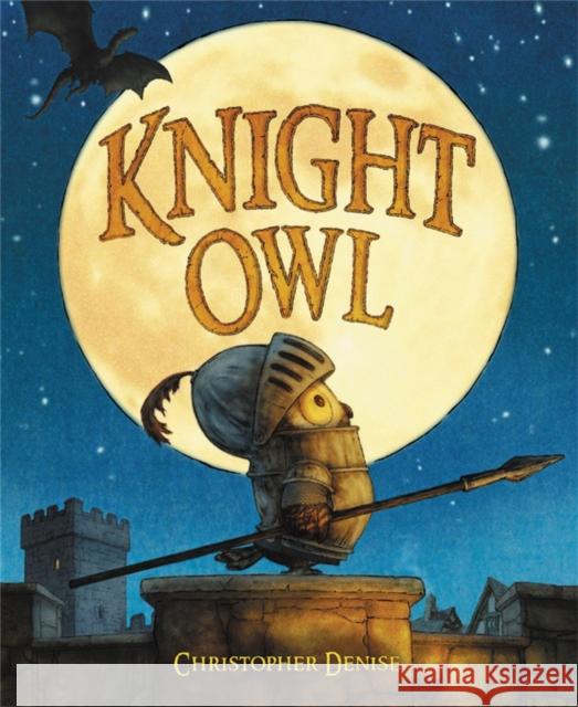 Knight Owl Christopher Denise 9780316310628 Little, Brown & Company