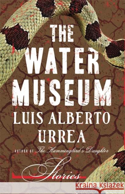 The Water Museum: Stories Luis Alberto Urrea 9780316334372 Little Brown and Company