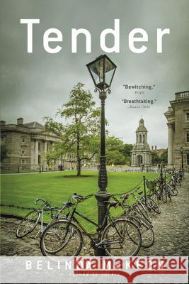 Tender Belinda McKeon 9780316344340