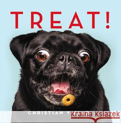 Treat! Christian Vieler 9780316362207 Black Dog & Leventhal Publishers